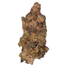 Zooted